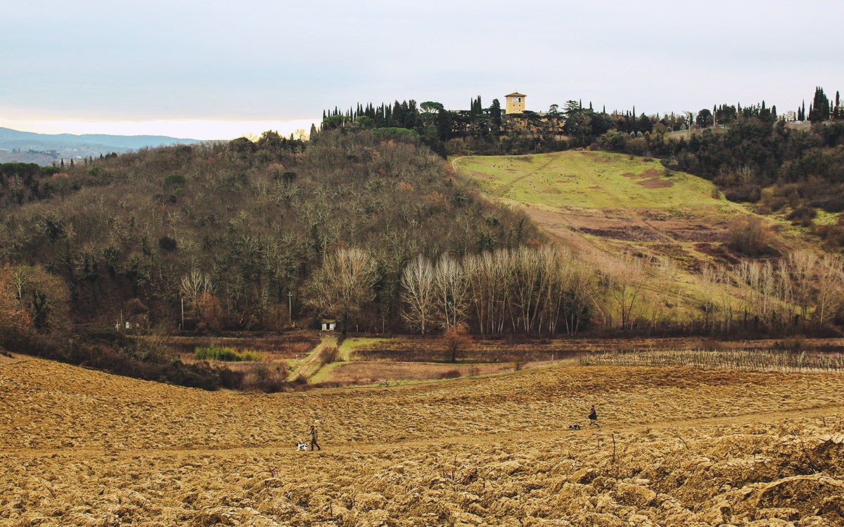 caccia4