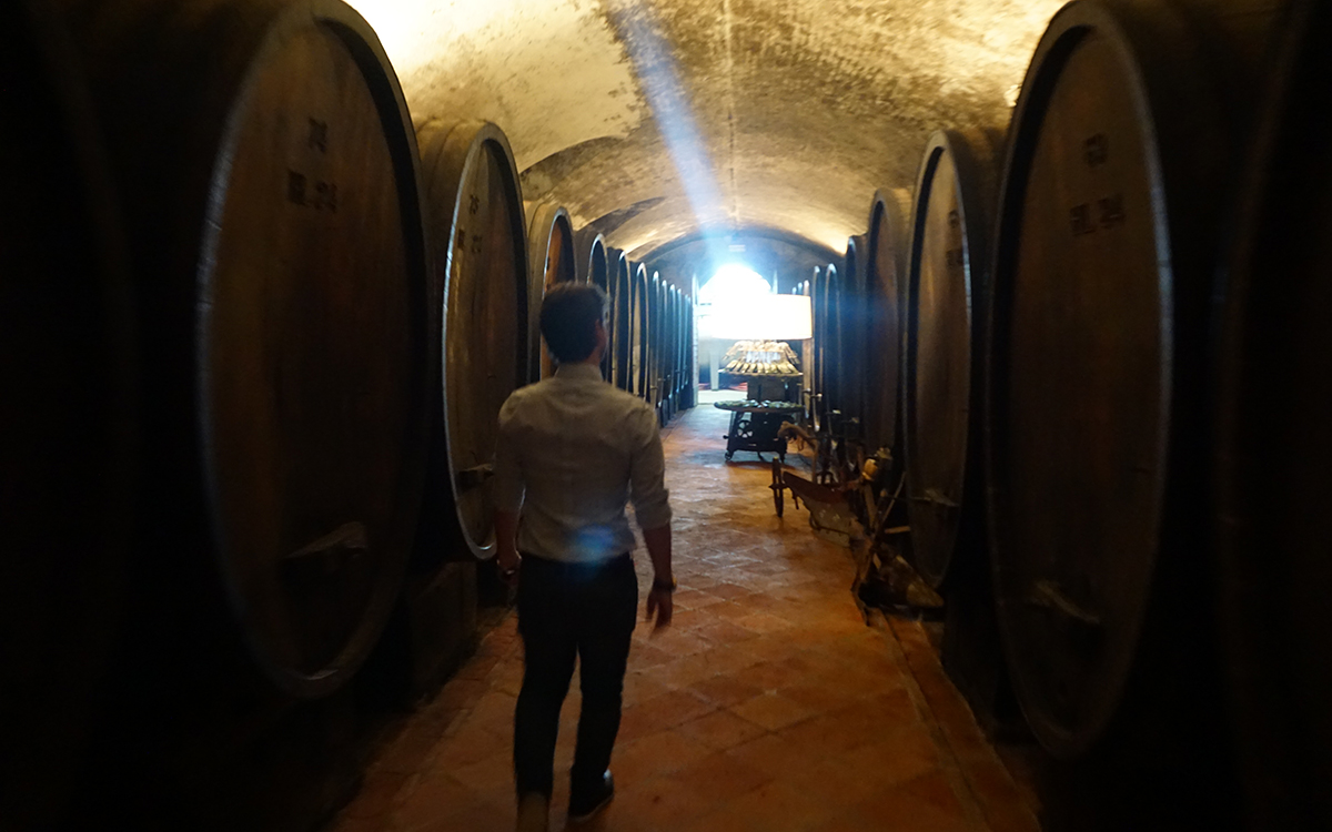 cellars
